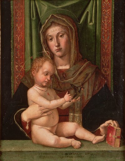 Madonna e Bambino da Bartolomeo Montagna